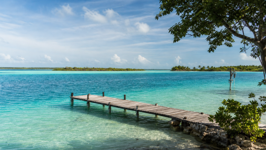 Laguna de Bacalar de tonos turquesa con vegetación caribeña